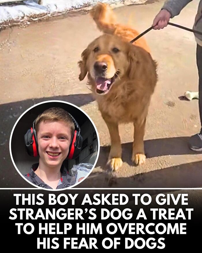 ‘We Rate Dogs’ Shared 32 New Stories That Are Funny, Emotional, And Absolutely Heartwarming