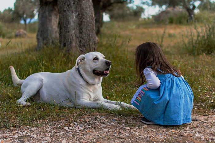 &ldquo;It&rsquo;s Dangerous&rdquo;: Man Cuts Contact With Sister Until She Puts Her Dog Down