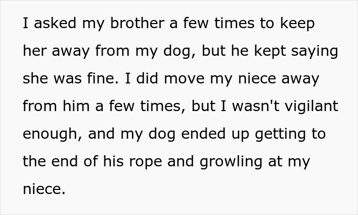 &ldquo;It&rsquo;s Dangerous&rdquo;: Man Cuts Contact With Sister Until She Puts Her Dog Down