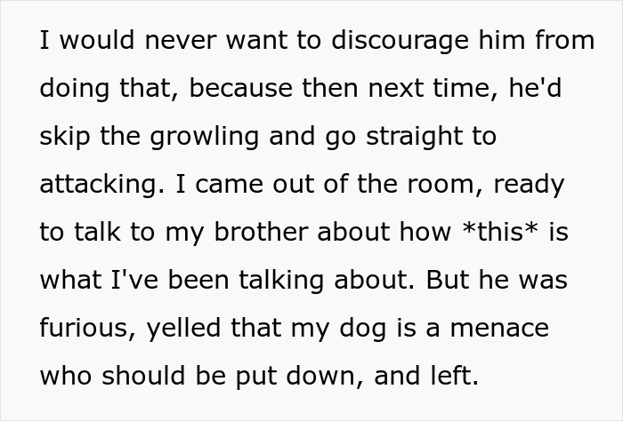 &ldquo;It&rsquo;s Dangerous&rdquo;: Man Cuts Contact With Sister Until She Puts Her Dog Down