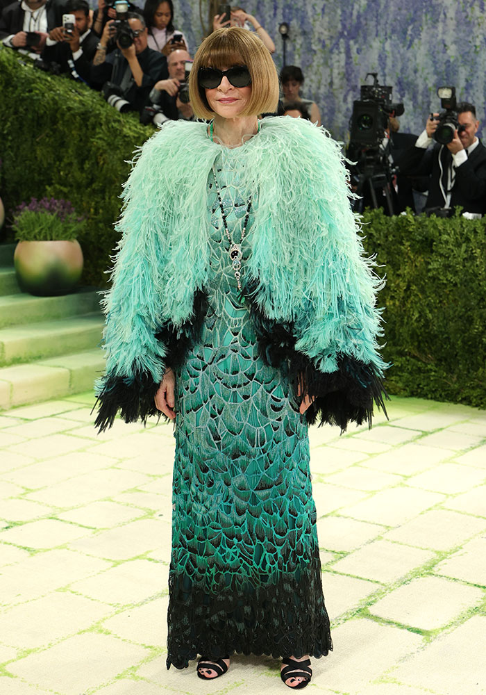 From Weird To Pure Disaster, Here Are The Worst Dressed Stars At Met Gala 2026