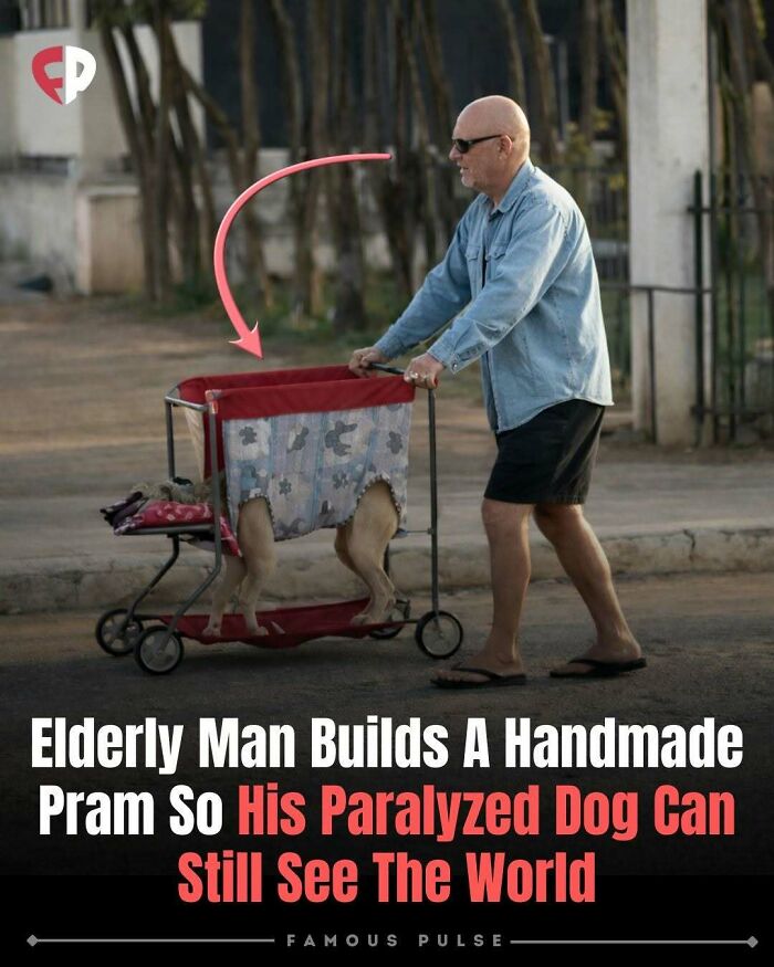 43 Surprising Random Facts You Didn&rsquo;t Know You Wanted To Learn, As Shared On This Instagram Page