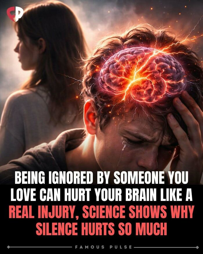 43 Surprising Random Facts You Didn&rsquo;t Know You Wanted To Learn, As Shared On This Instagram Page