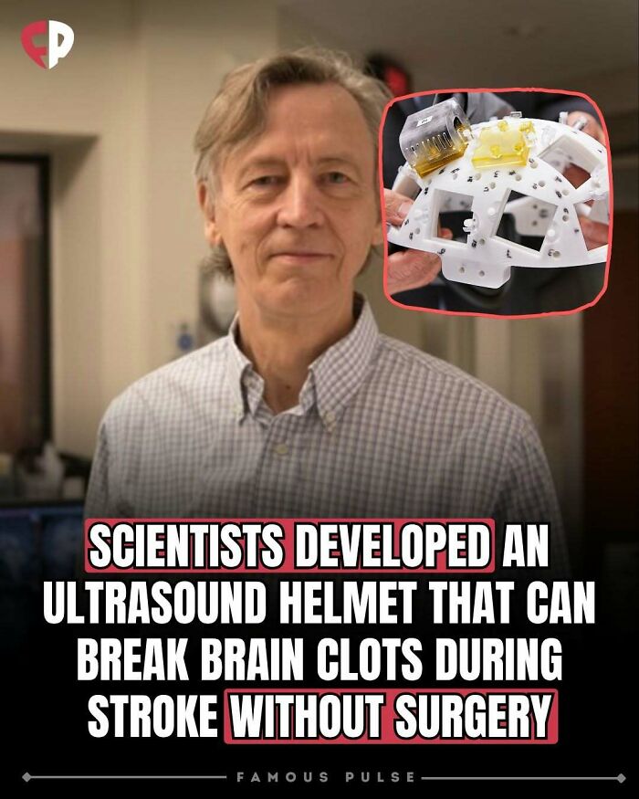 43 Surprising Random Facts You Didn&rsquo;t Know You Wanted To Learn, As Shared On This Instagram Page