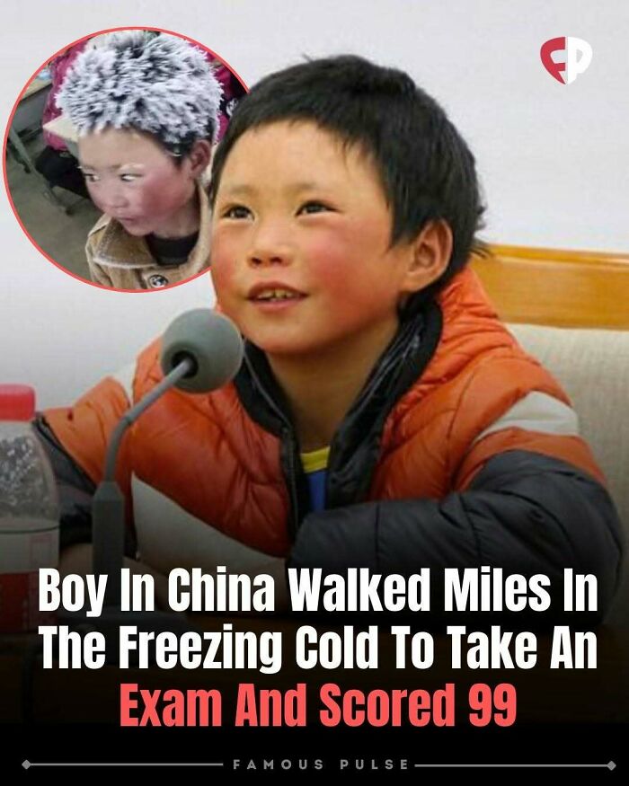 43 Surprising Random Facts You Didn&rsquo;t Know You Wanted To Learn, As Shared On This Instagram Page