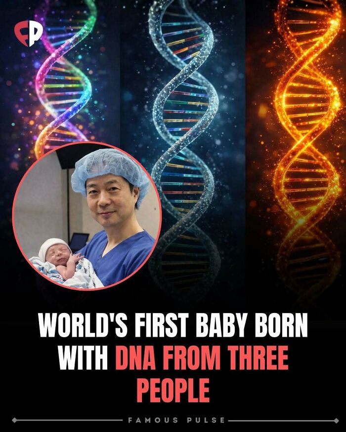 43 Surprising Random Facts You Didn&rsquo;t Know You Wanted To Learn, As Shared On This Instagram Page