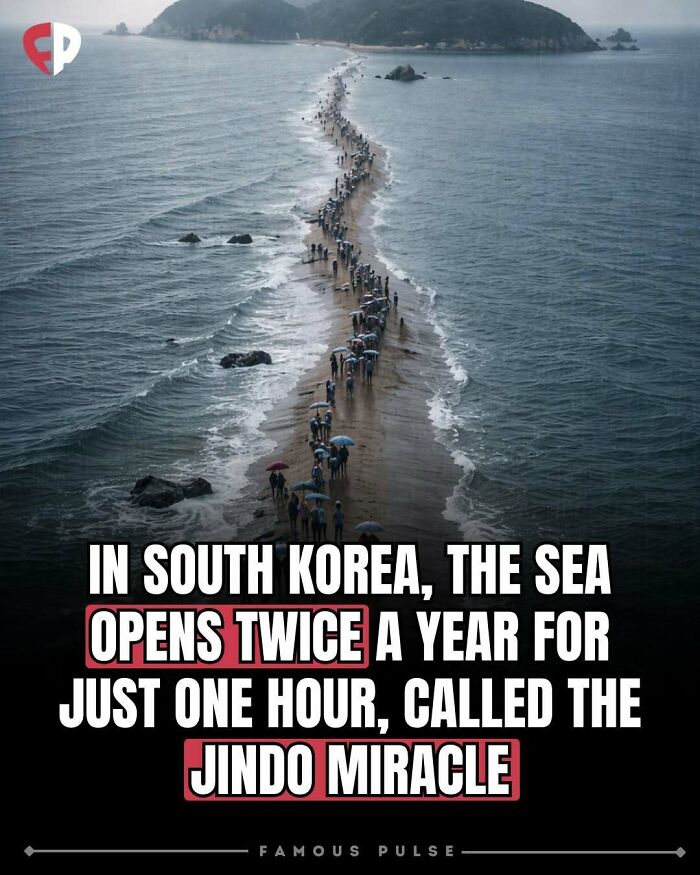 43 Surprising Random Facts You Didn&rsquo;t Know You Wanted To Learn, As Shared On This Instagram Page