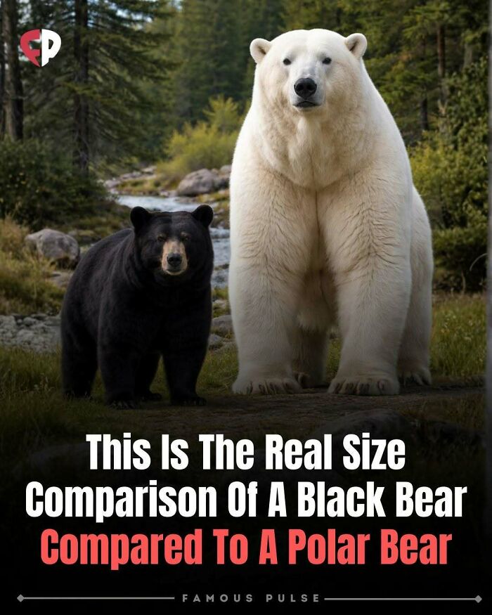 43 Surprising Random Facts You Didn&rsquo;t Know You Wanted To Learn, As Shared On This Instagram Page