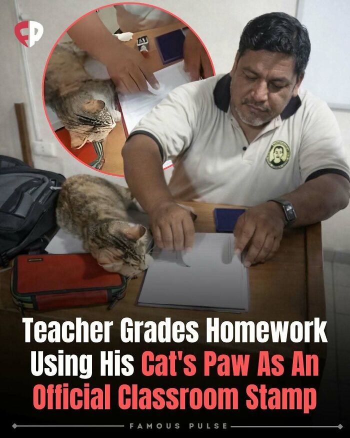 43 Surprising Random Facts You Didn&rsquo;t Know You Wanted To Learn, As Shared On This Instagram Page