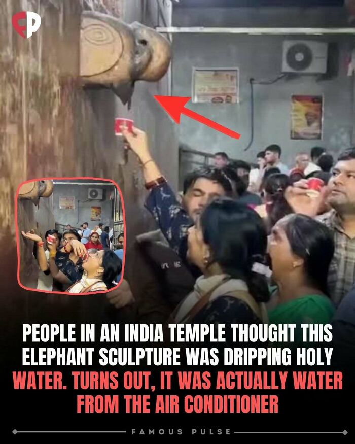 43 Surprising Random Facts You Didn&rsquo;t Know You Wanted To Learn, As Shared On This Instagram Page
