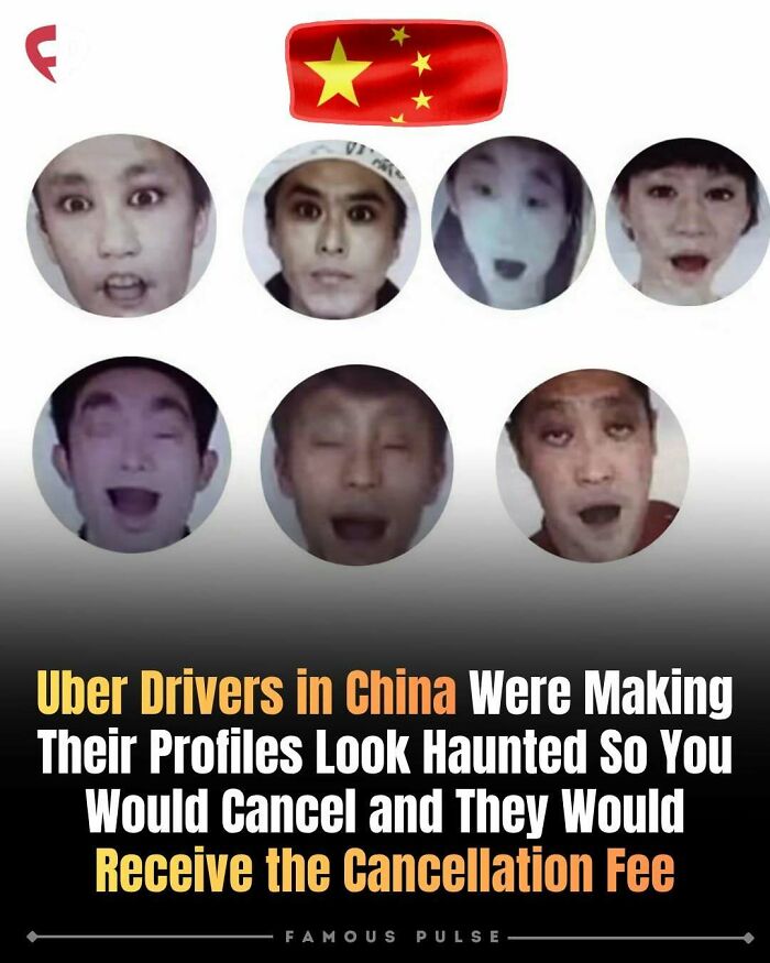 43 Surprising Random Facts You Didn&rsquo;t Know You Wanted To Learn, As Shared On This Instagram Page