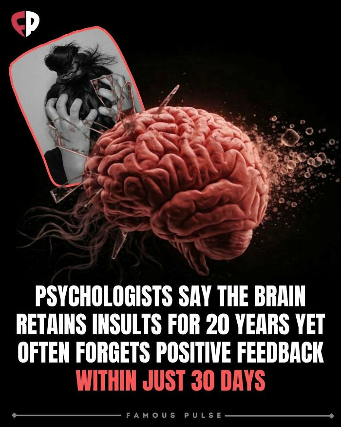 43 Surprising Random Facts You Didn&rsquo;t Know You Wanted To Learn, As Shared On This Instagram Page