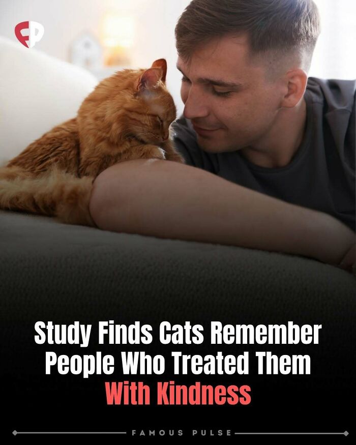 43 Surprising Random Facts You Didn&rsquo;t Know You Wanted To Learn, As Shared On This Instagram Page