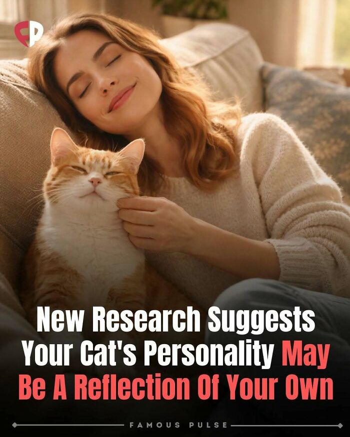 43 Surprising Random Facts You Didn&rsquo;t Know You Wanted To Learn, As Shared On This Instagram Page
