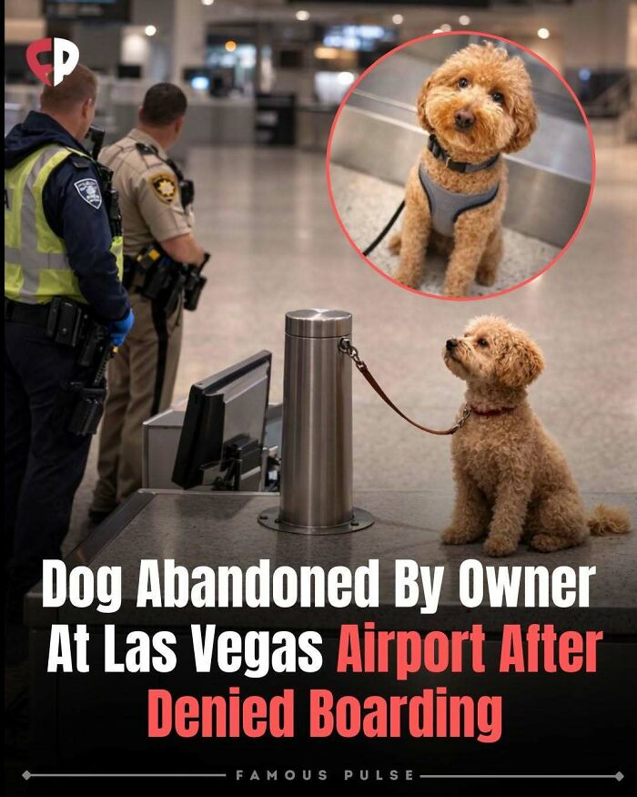 43 Surprising Random Facts You Didn&rsquo;t Know You Wanted To Learn, As Shared On This Instagram Page