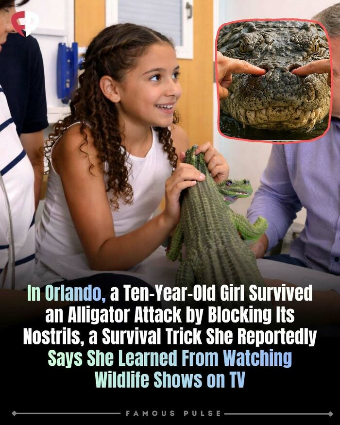 43 Surprising Random Facts You Didn&rsquo;t Know You Wanted To Learn, As Shared On This Instagram Page