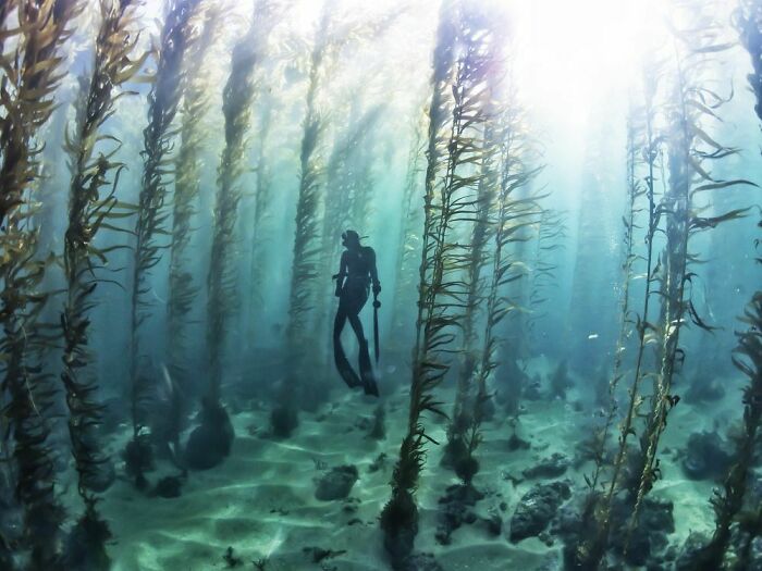 63 Uncomfortable Water Pics That Make You Feel Small In The Worst Way (New Pics)