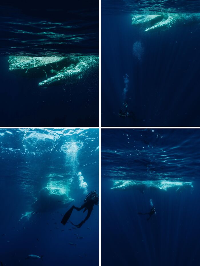 63 Uncomfortable Water Pics That Make You Feel Small In The Worst Way (New Pics)