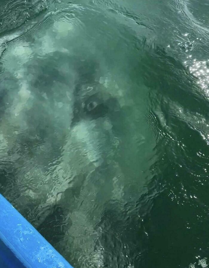 63 Uncomfortable Water Pics That Make You Feel Small In The Worst Way (New Pics)