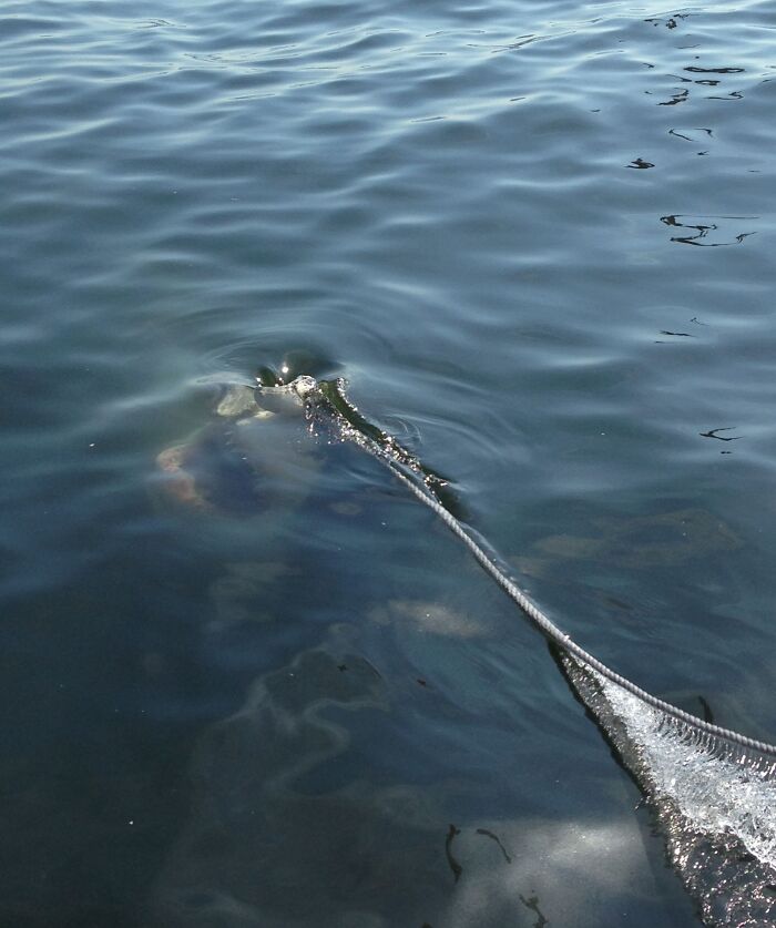 63 Uncomfortable Water Pics That Make You Feel Small In The Worst Way (New Pics)