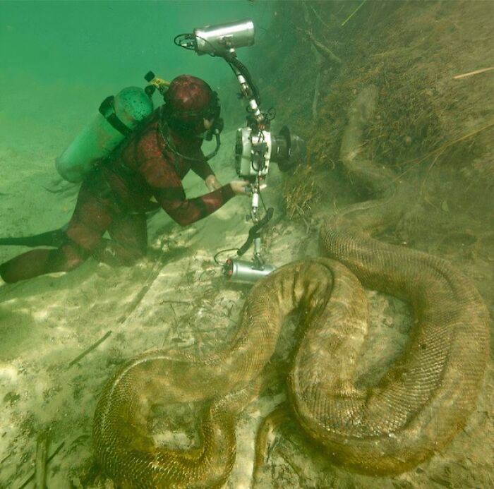 63 Uncomfortable Water Pics That Make You Feel Small In The Worst Way (New Pics)