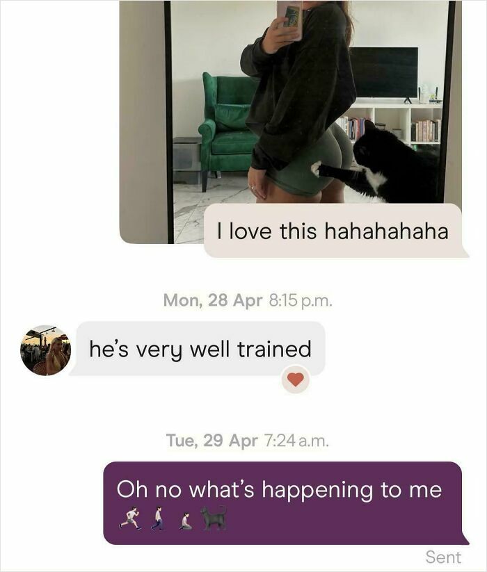 67 Funny Text Exchanges That Might Be The Reason You Laugh Today (New Pics)