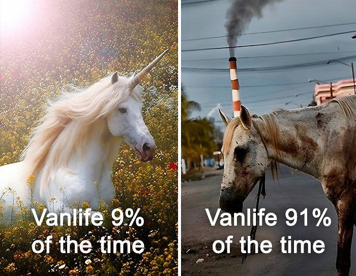 &ldquo;Sparkling Homelessness&rdquo;: 69 Memes That Perfectly Nail The Reality Of Living Out Of A Van