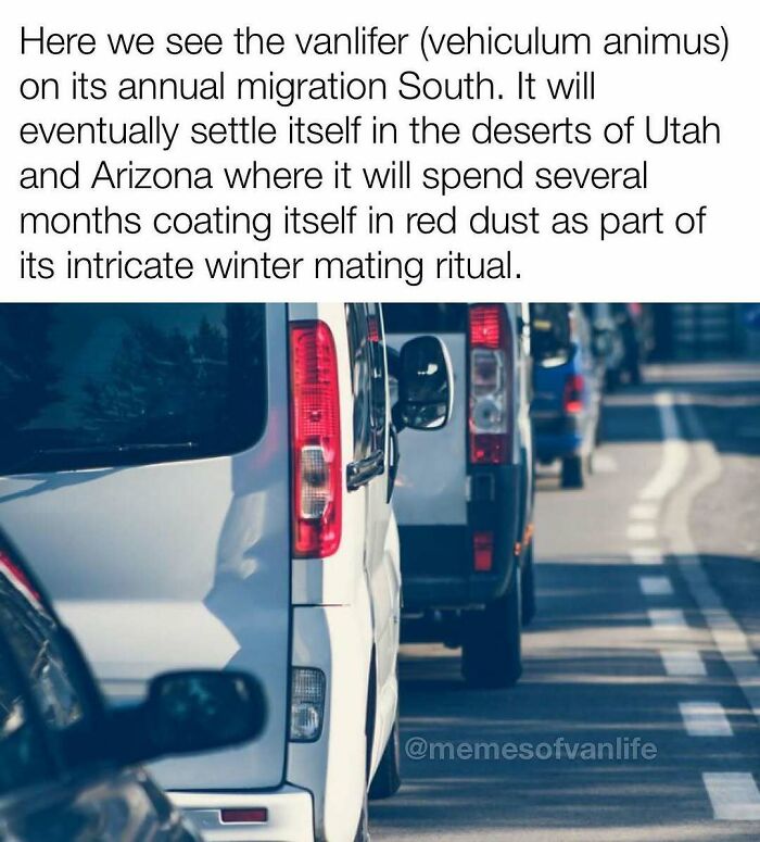 &ldquo;Sparkling Homelessness&rdquo;: 69 Memes That Perfectly Nail The Reality Of Living Out Of A Van