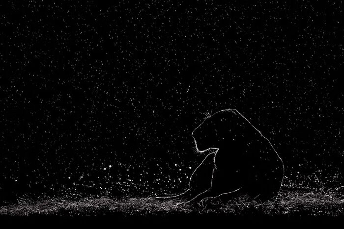 The Artist Gallery Shared 23 Striking Images From Their 2026 Black And White Photography Awards