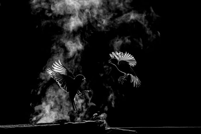 The Artist Gallery Shared 23 Striking Images From Their 2026 Black And White Photography Awards
