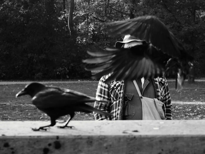 The Artist Gallery Shared 23 Striking Images From Their 2026 Black And White Photography Awards