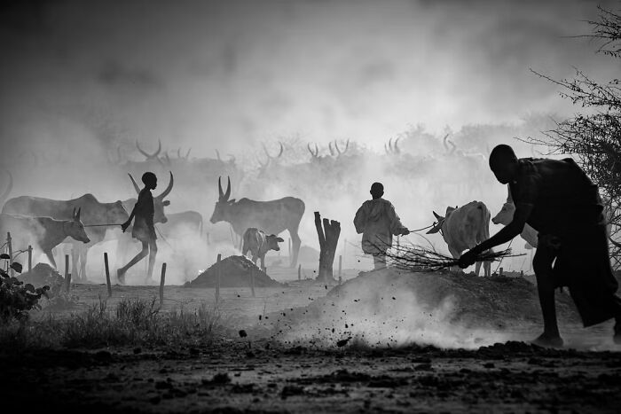 The Artist Gallery Shared 23 Striking Images From Their 2026 Black And White Photography Awards
