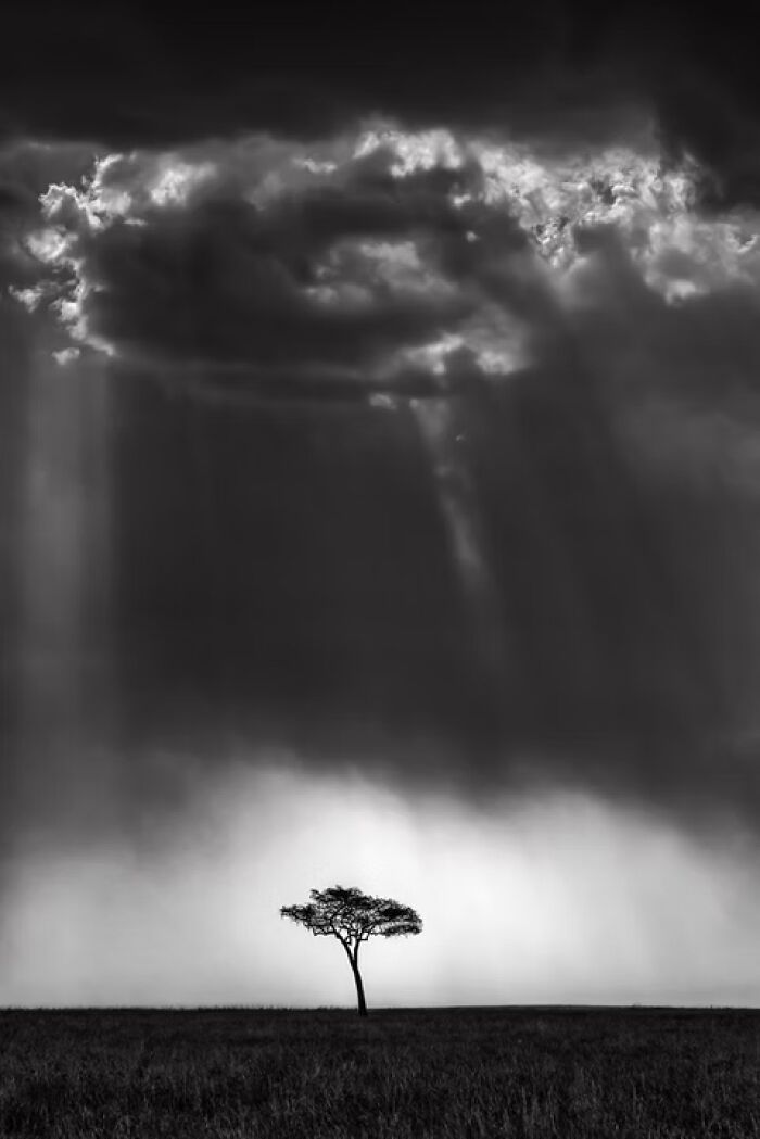 The Artist Gallery Shared 23 Striking Images From Their 2026 Black And White Photography Awards