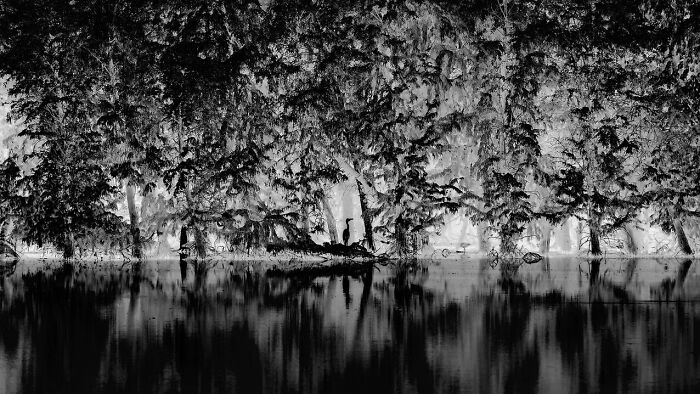 The Artist Gallery Shared 23 Striking Images From Their 2026 Black And White Photography Awards