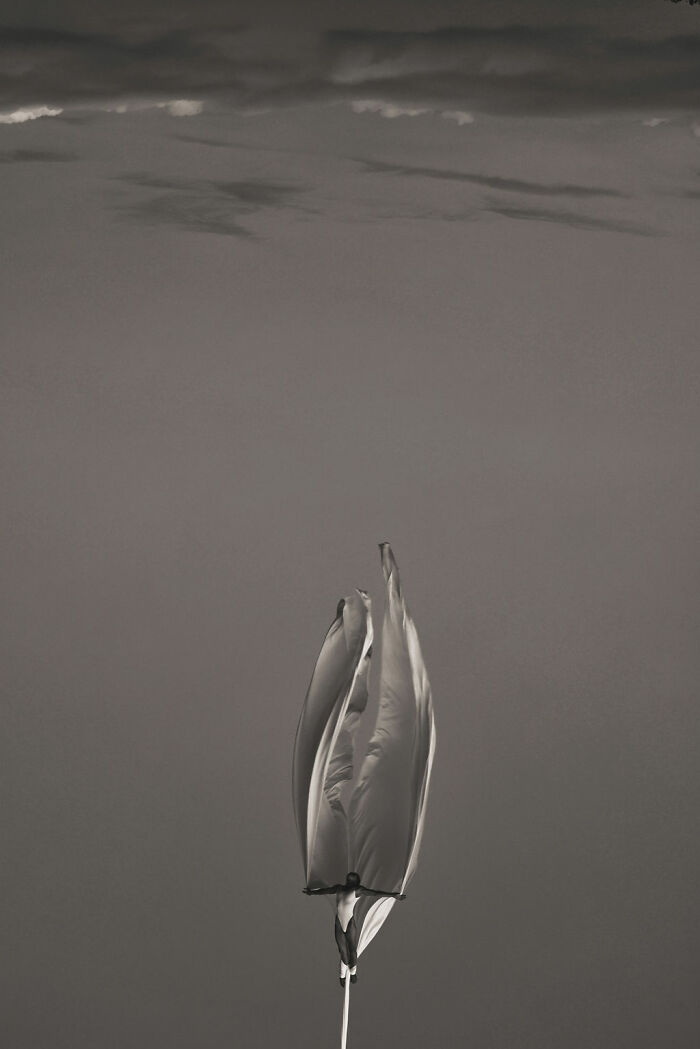 30 Breathtaking Images By This Artist That Show How The Human Body Dissolves Into Nature