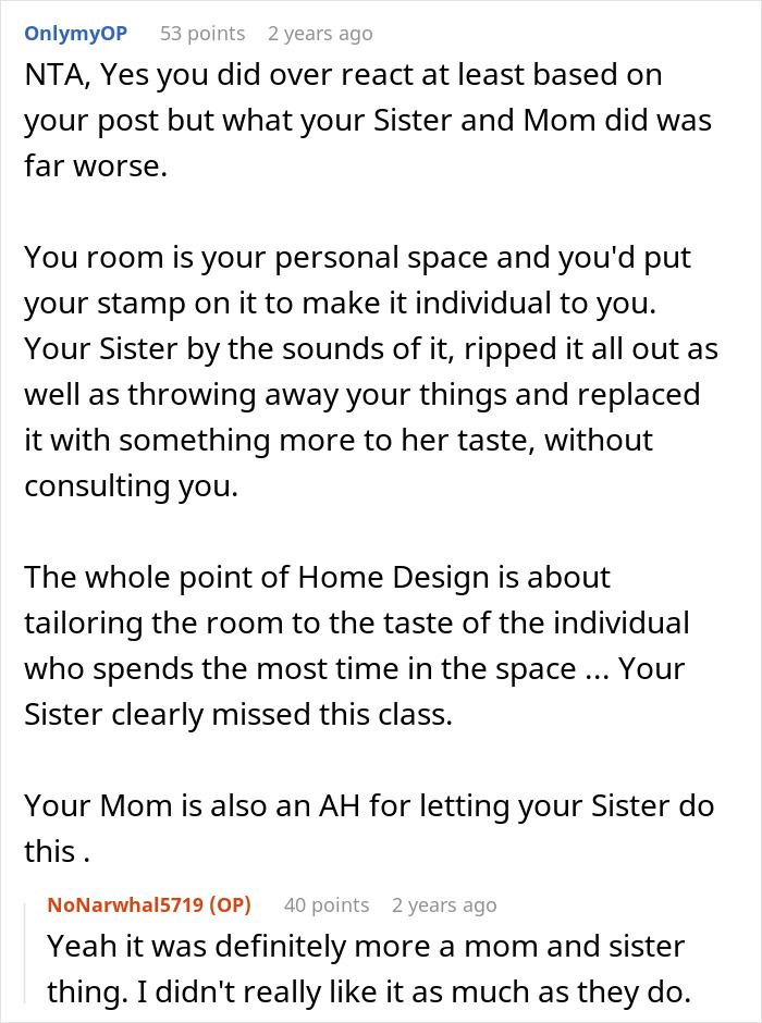 Sister Redecorates Sibling’s Room As A Surprise, Gets Told “I Hate You” When They Come Home