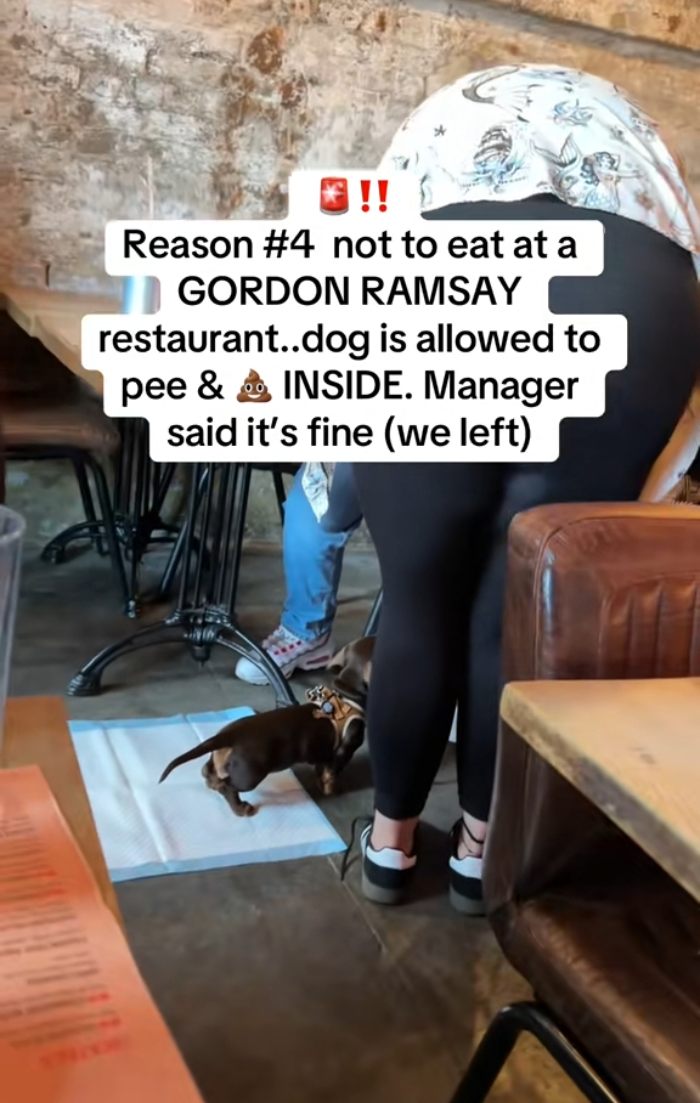 “A Massive NO”: Frenzy Online After Furious Customers Leave Gordon Ramsay Restaurant After Spotting Bizarre Detail