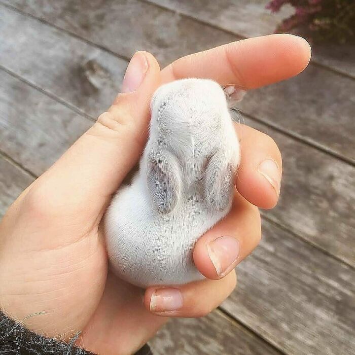 99 Wholesome Pics That Hit Harder Than A Pixar Movie