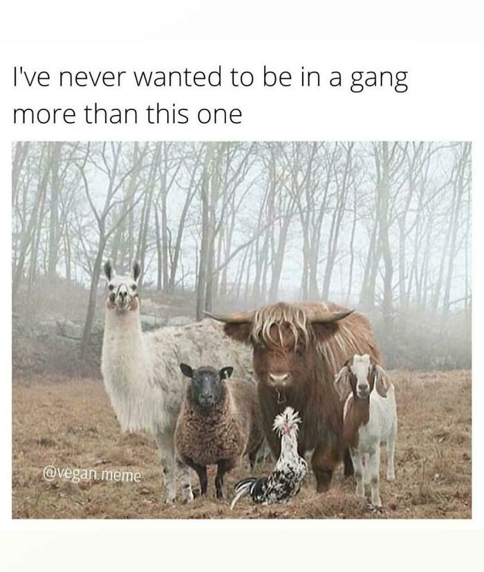 99 Wholesome Pics That Hit Harder Than A Pixar Movie