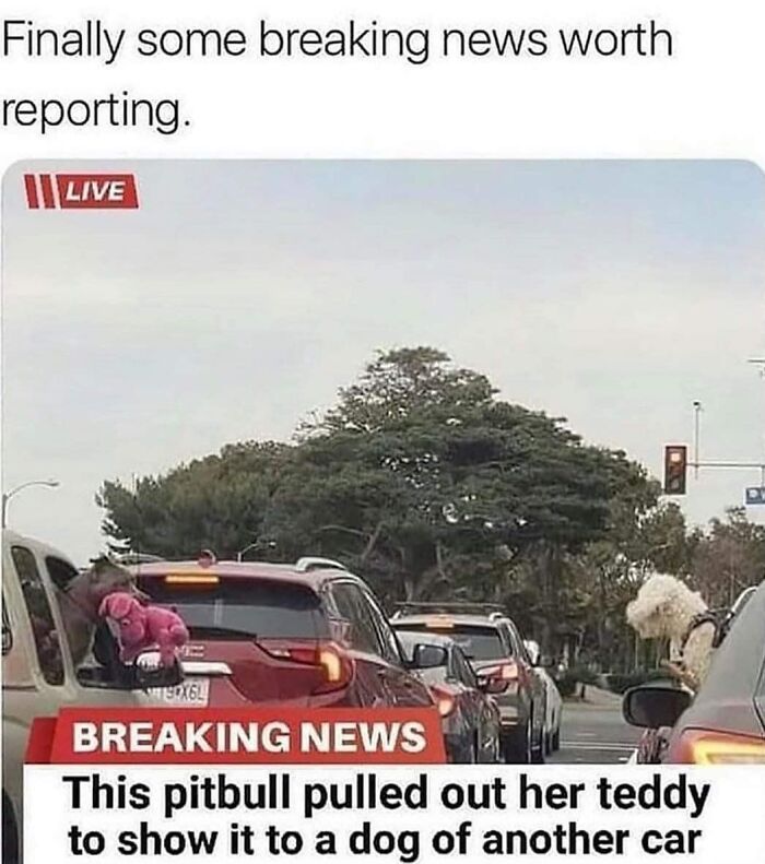 99 Wholesome Pics That Hit Harder Than A Pixar Movie