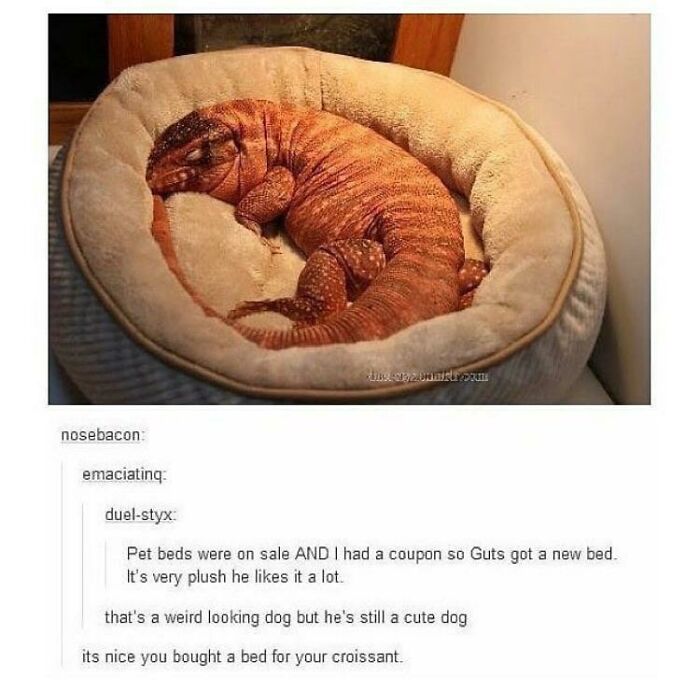 99 Wholesome Pics That Hit Harder Than A Pixar Movie