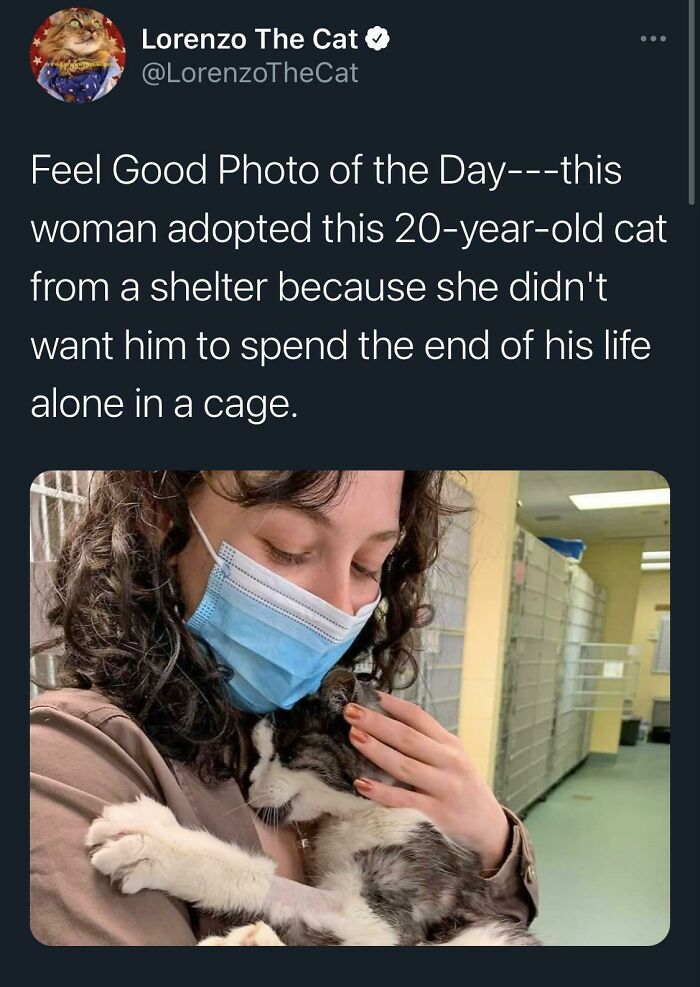 99 Wholesome Pics That Hit Harder Than A Pixar Movie