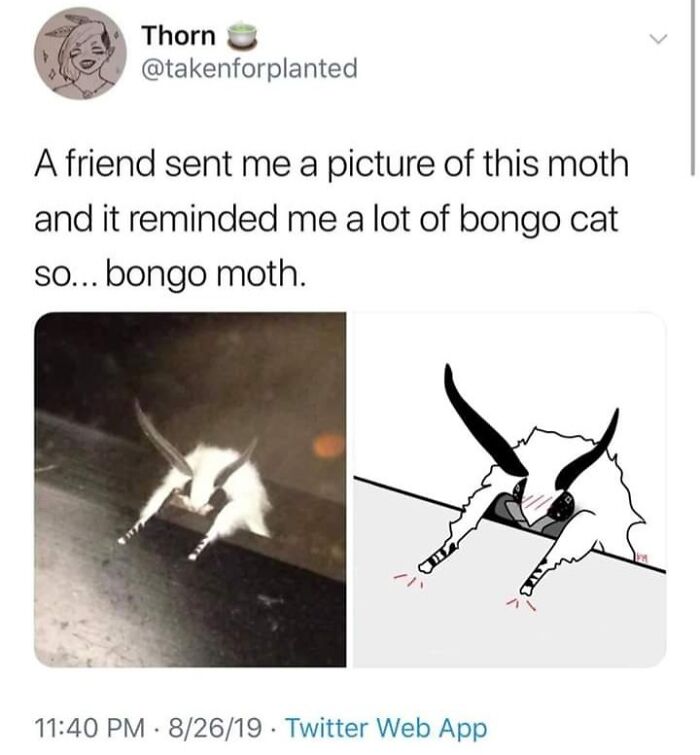 99 Wholesome Pics That Hit Harder Than A Pixar Movie
