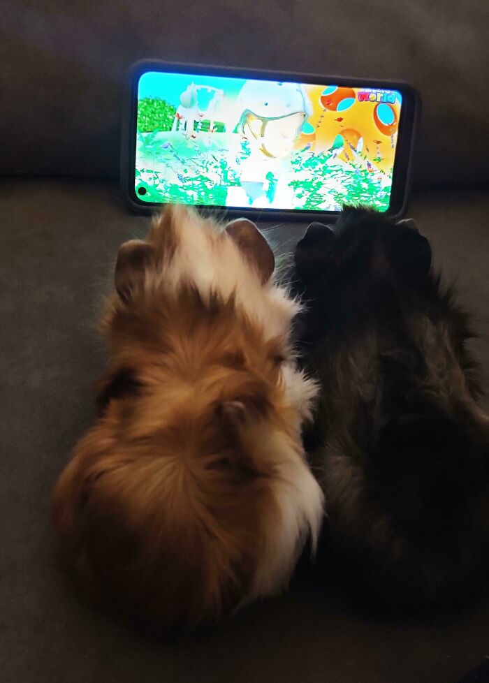 99 Wholesome Pics That Hit Harder Than A Pixar Movie