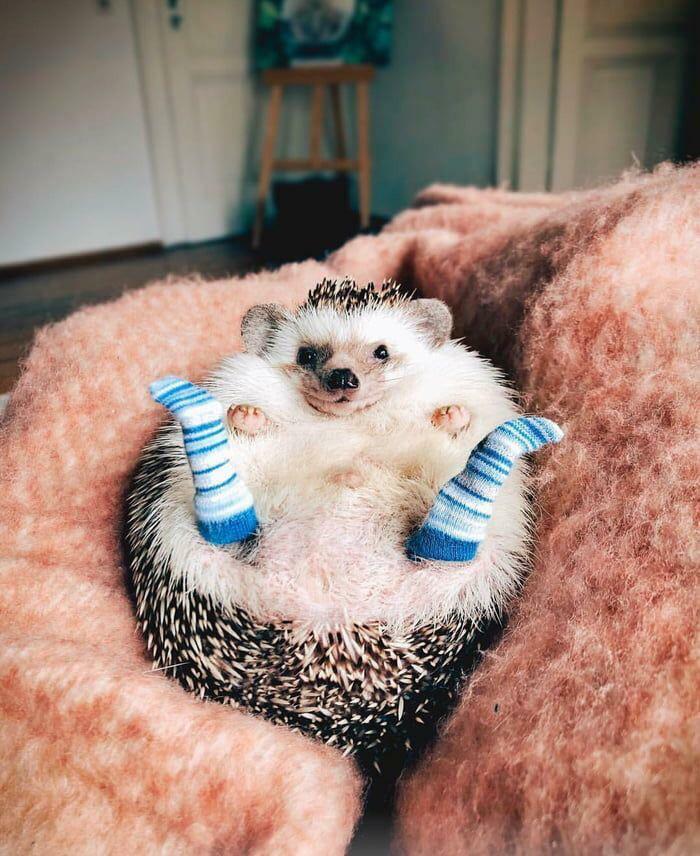99 Wholesome Pics That Hit Harder Than A Pixar Movie