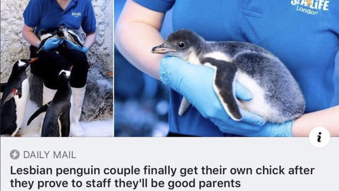 99 Wholesome Pics That Hit Harder Than A Pixar Movie