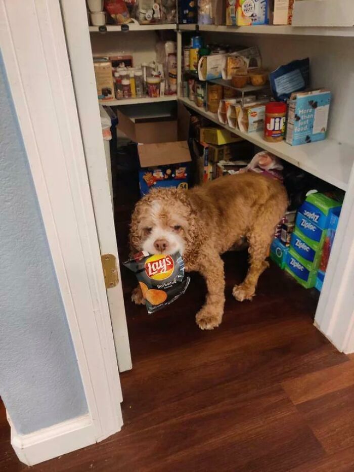 99 Wholesome Pics That Hit Harder Than A Pixar Movie