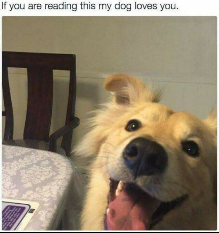 99 Wholesome Pics That Hit Harder Than A Pixar Movie