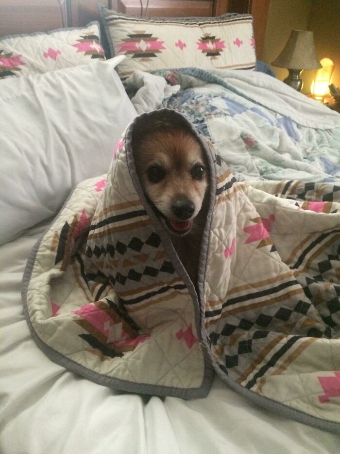 99 Wholesome Pics That Hit Harder Than A Pixar Movie