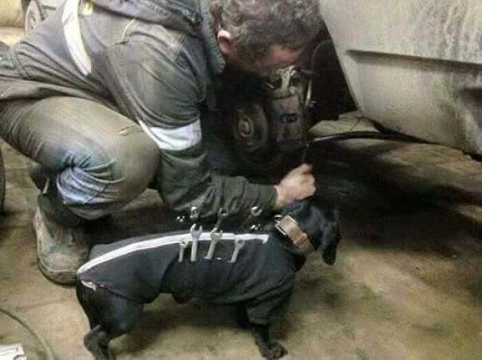 99 Wholesome Pics That Hit Harder Than A Pixar Movie